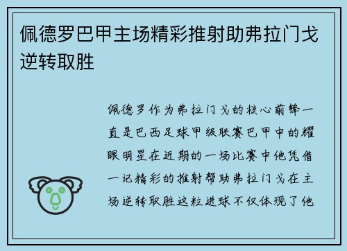 佩德罗巴甲主场精彩推射助弗拉门戈逆转取胜 佩德罗巴甲主场精彩推射助弗拉门戈逆转取胜